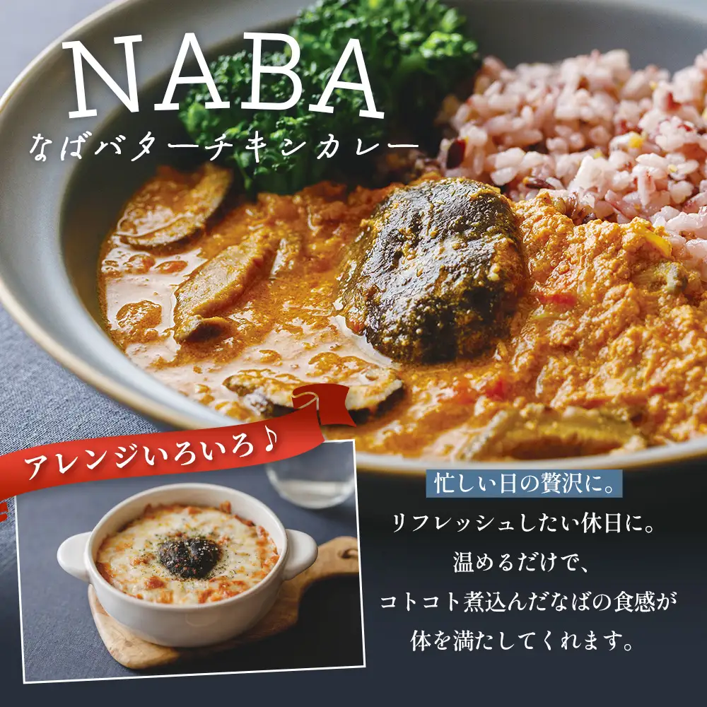 NABAカレー バターチキンカレー＆ハンバーグアンチョビソース掛け セット 2種各2食 計4食 常温｜レトルトカレー カレーライス なば しいたけ 椎茸 ハンバーグ アンチョビ レトルト 簡単調理 常備 備蓄 おかず アレンジ 家庭用もろっこはうす 宮崎県 諸塚村 MO-37