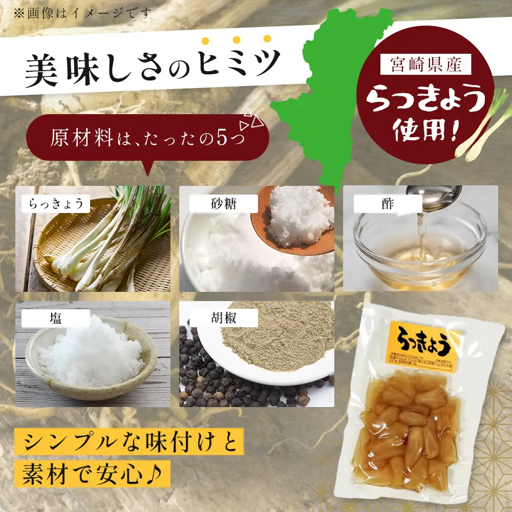 箸がとまらんおいしさ！ らっきょう漬け 150g×4P 常温｜らっきょう 漬物 お漬物 酢漬け おつまみ もろっこはうす 宮崎県 諸塚村 MO-43