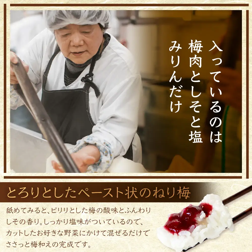ねり梅 120g×3P パウチ 常温｜ねりうめ 梅 ウメ 梅肉 ペースト シソ 紫蘇 和え物 梅和え 漬物 ごはんのお供 熱中症対策 塩分 加工品 調味料 もろっこはうす 宮崎県 諸塚村 MO-48