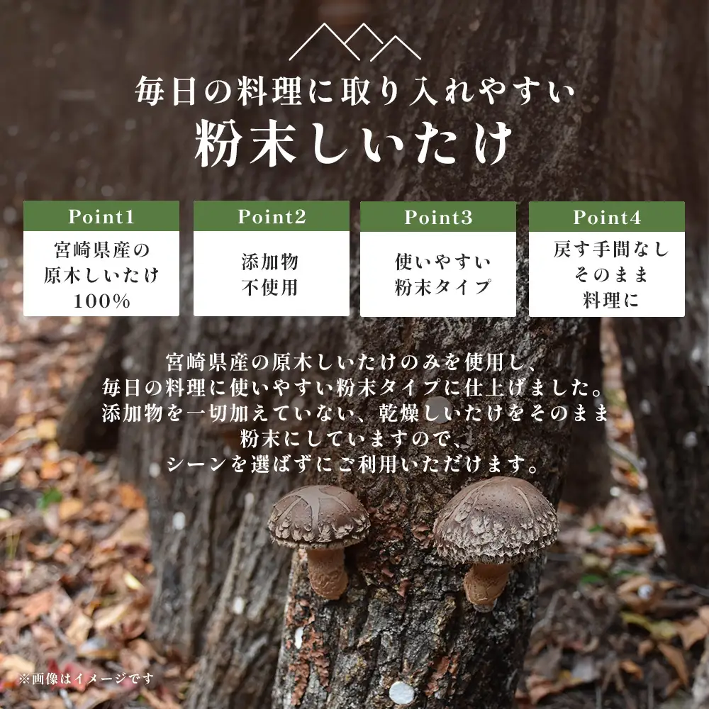 宮崎県産 粉末 しいたけ 40g×6P 計240g 常温｜国産 乾燥しいたけ 椎茸 調味料 出汁 椎茸茶 家庭用 チャック付 パウダー もろっこはうす 宮崎県 諸塚村 MO-13