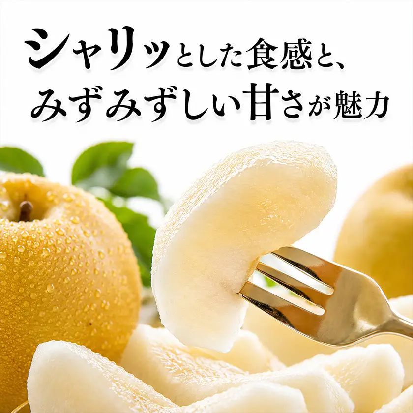 先行予約 旬の梨 約2kg 梨