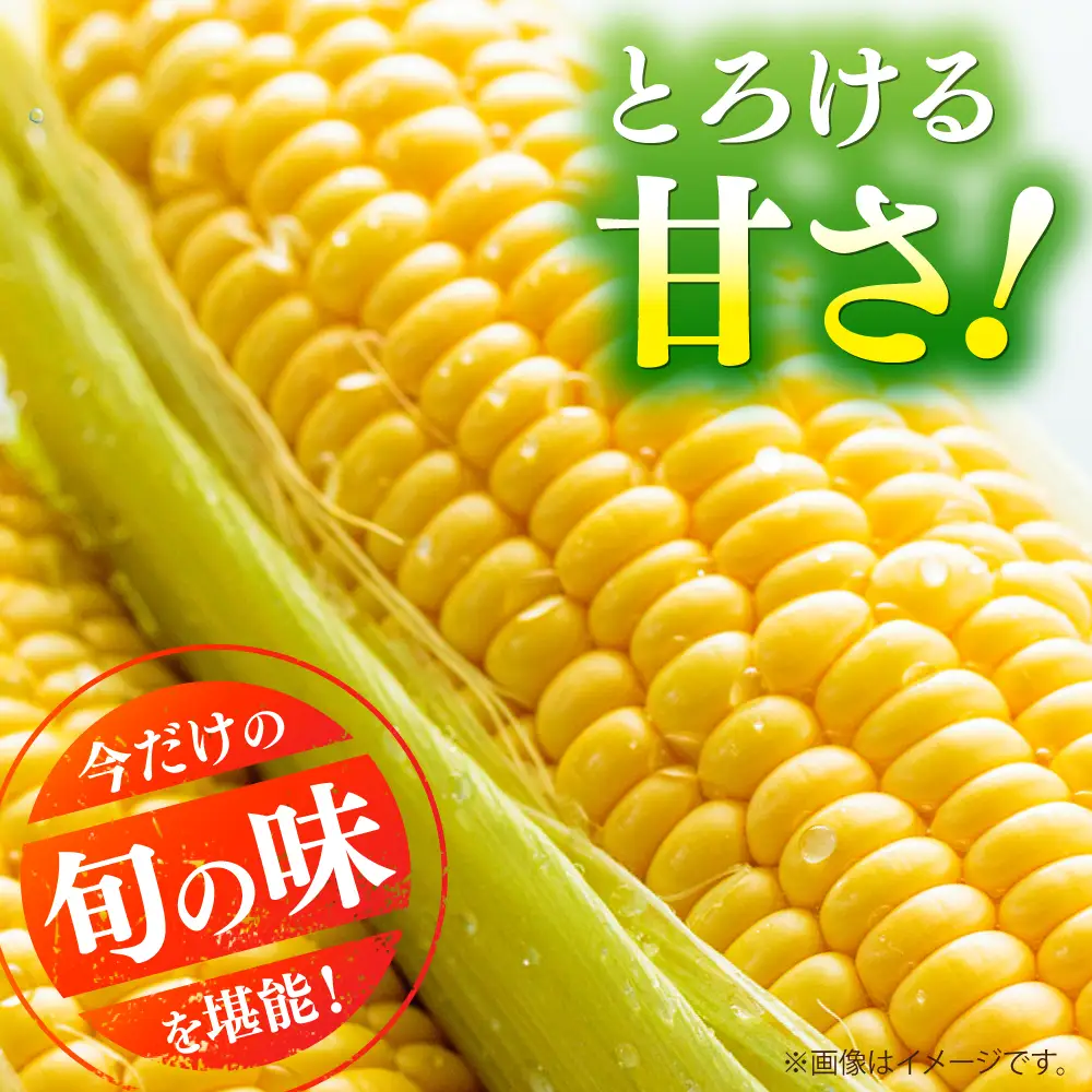 【先行予約】【2027年5月中旬より順次発送】スイートコーン(プレミアム味来) 約4kg スイートコーン[BHCJ004]