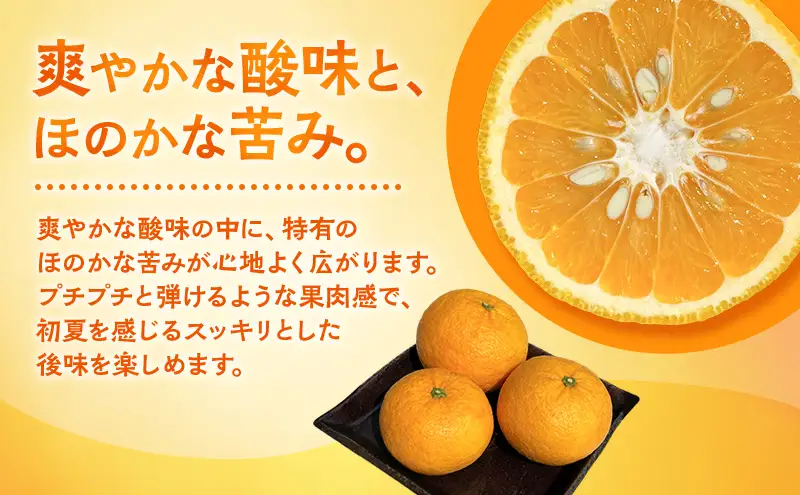 甘夏 10kg 柑橘 かんきつ みかん あまなつ 旬の果物 フルーツ 果実 果物 くだもの 河津町 静岡県