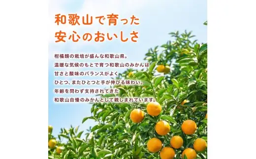 温州みかん 10kg (サイズおまかせ) ※2026年12月中旬～2027年1月下旬に順次発送予定 ※北海道・沖縄・離島配送不可 / ミカン 蜜柑 フルーツ 果物 柑橘 果実 由良町 国産 産地直送 和歌山県 【eiw004-r-10A】