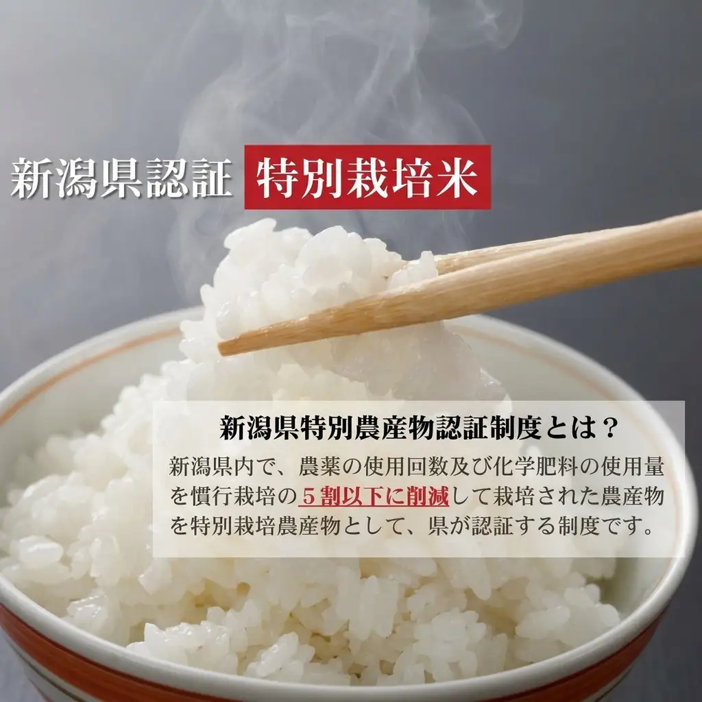 【先行予約】新之助 特別栽培米 上越産 新米 20kg 新之助