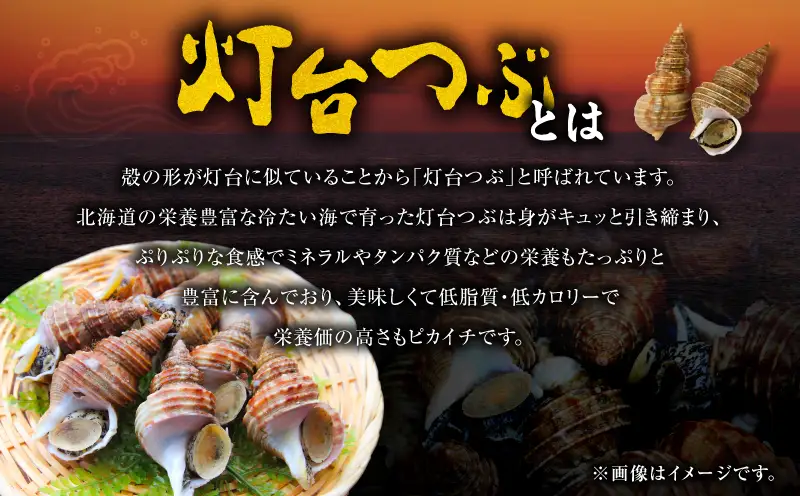 北海道苫小牧産 冷凍ボイル灯台つぶ（3パック入） T020-009 灯台つぶ つぶ 刺身 炉端焼き