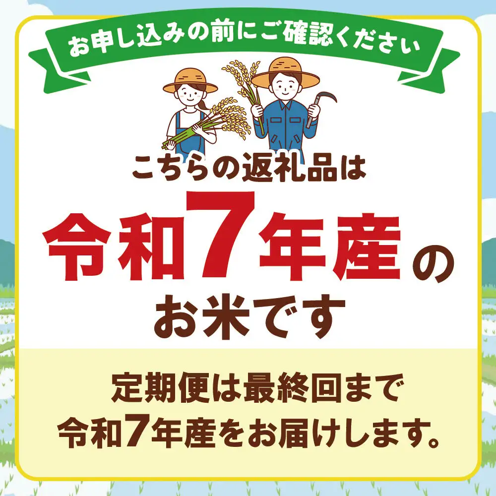《定期便4ヶ月》令和7年産【無洗米】特別栽培米 ササニシキ 10kg（5kg×2袋）秋田県産