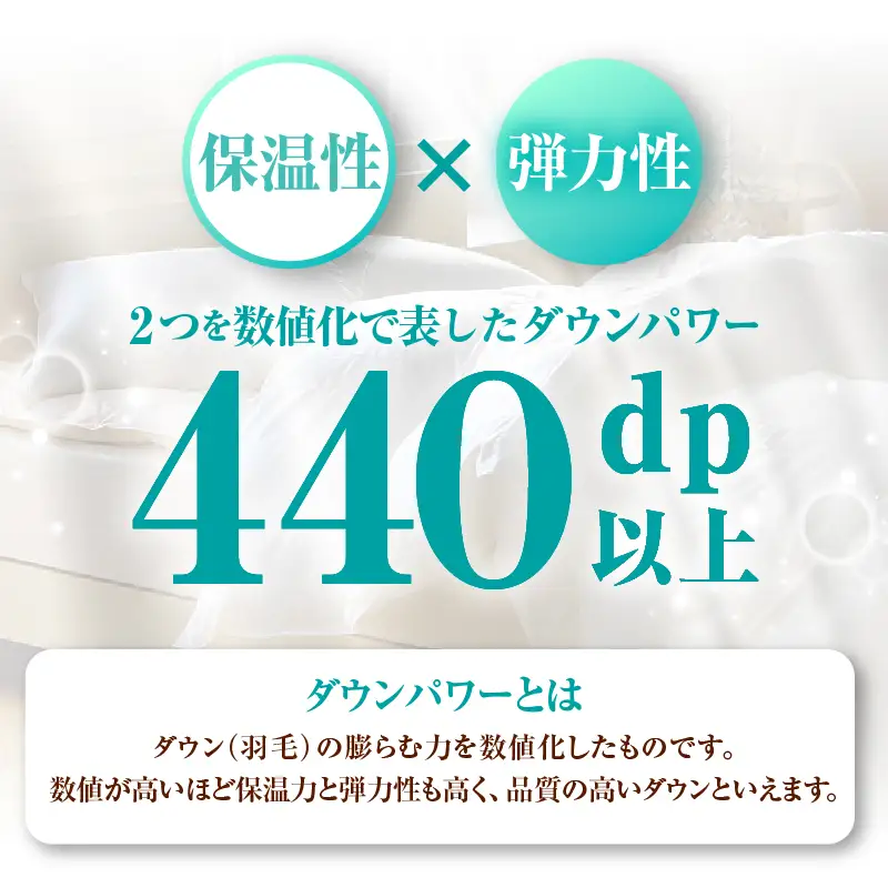 【クイーン】羽毛肌掛けふとんプレミアム（220cm×210cm）