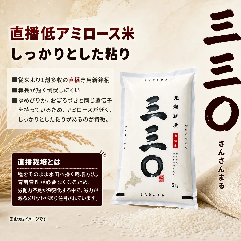 【先行予約】 令和8年産 北海道 さんさんまる 精米 10kg （5kg×2袋）| 2026年11月以降順次発送 | 白米 お米 米 北海道産 コメ | 株式会社松原米穀