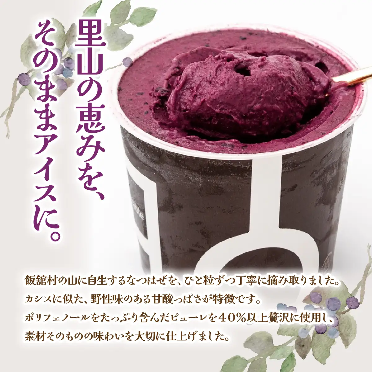 里山の黒真珠 なつはぜアイス ITTAA002