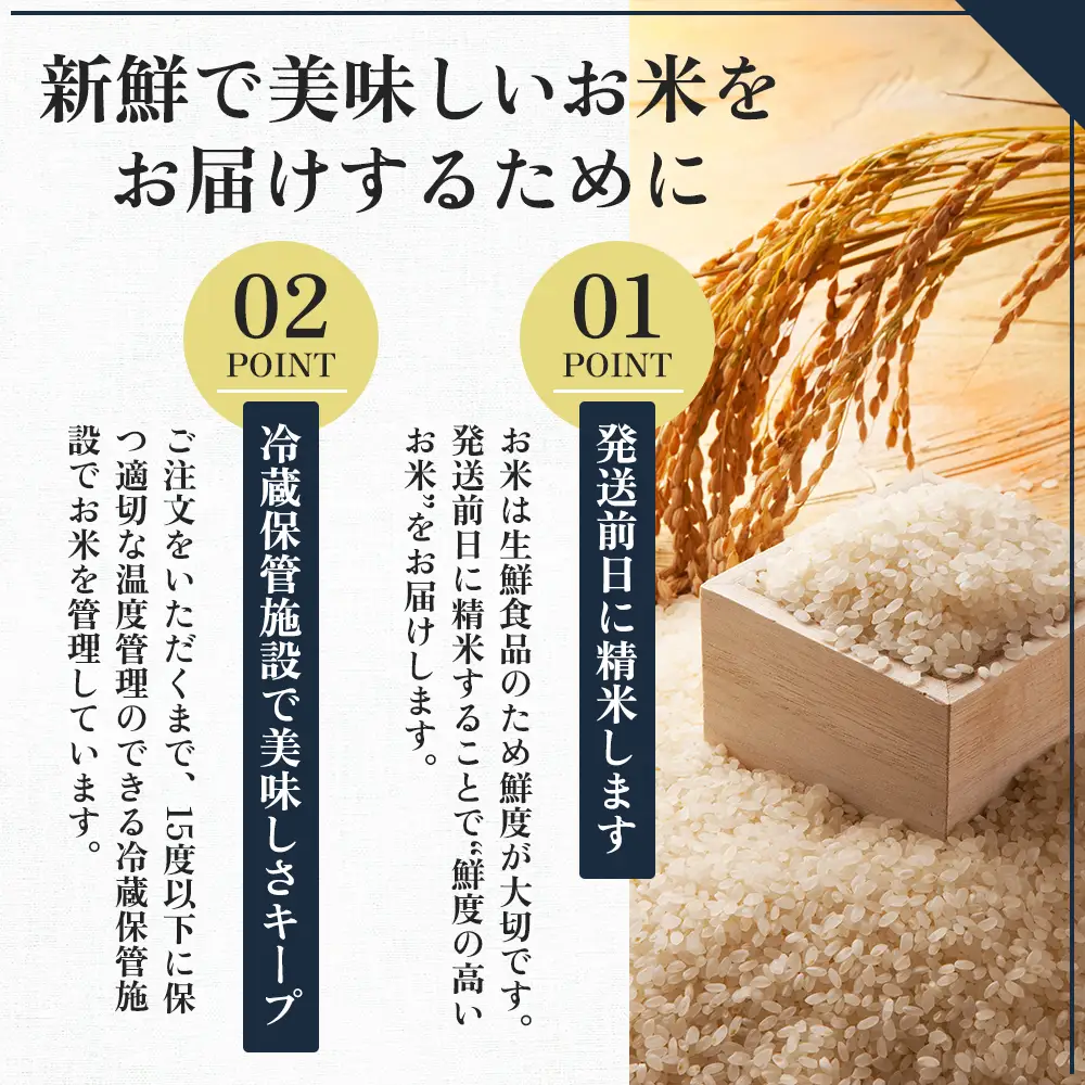 【先行予約】令和8年産 新之助12kg(2kg×6袋)