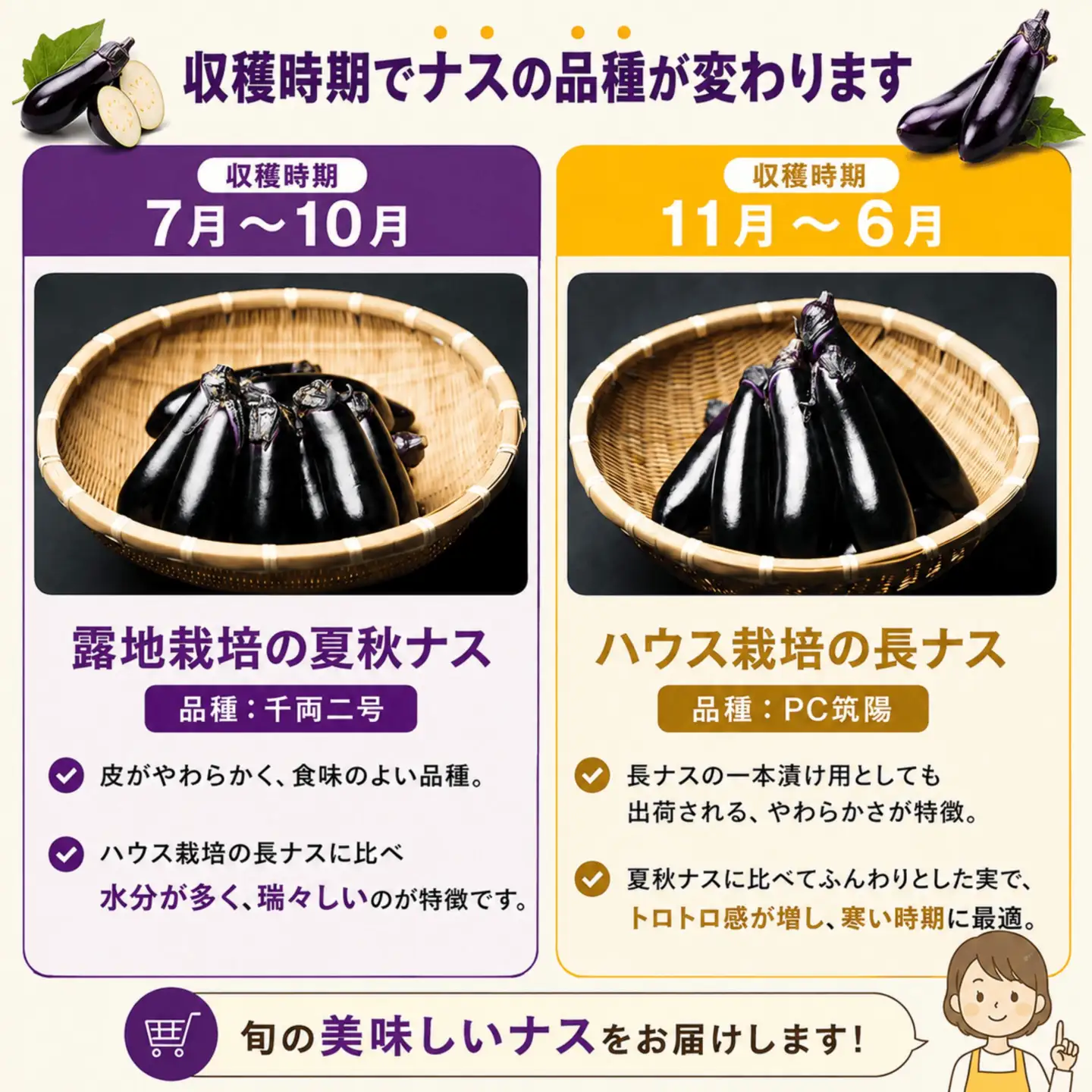 農家さん応援！訳ありごほう美ナス 約1.5kg