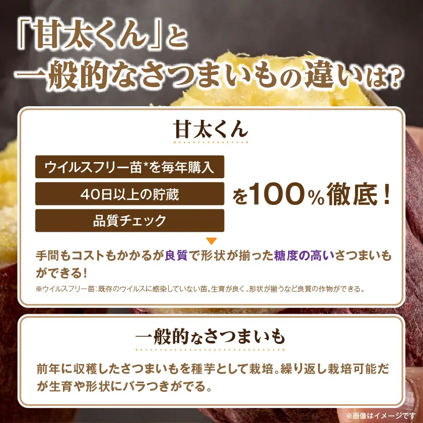 【11月下旬より順次発送】冷凍焼き芋「甘太くん」300g×10本　計3kg【配送不可地域：離島】【1731776】