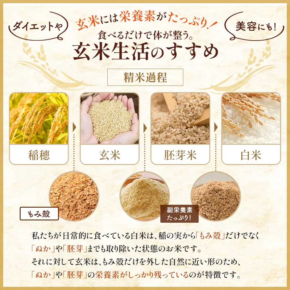 【令和7年度産】ななつぼし玄米 食味ランキング「特A」(10kg)【11068】