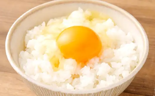 今安R.C 桑名産 農家直送の白米 10kg×1袋 【6月～9月発送不可】 お米 米 コメ こめ ご飯 白米 白飯 コシヒカリ 農家直送 農家 直送 国産 三重県産 桑名市産