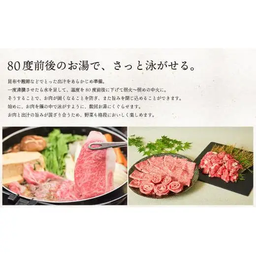 《最短10営業日以内発送》 佐賀牛 牛肉 500g 肩ロースしゃぶしゃぶ用 牛肉【冷凍配送】