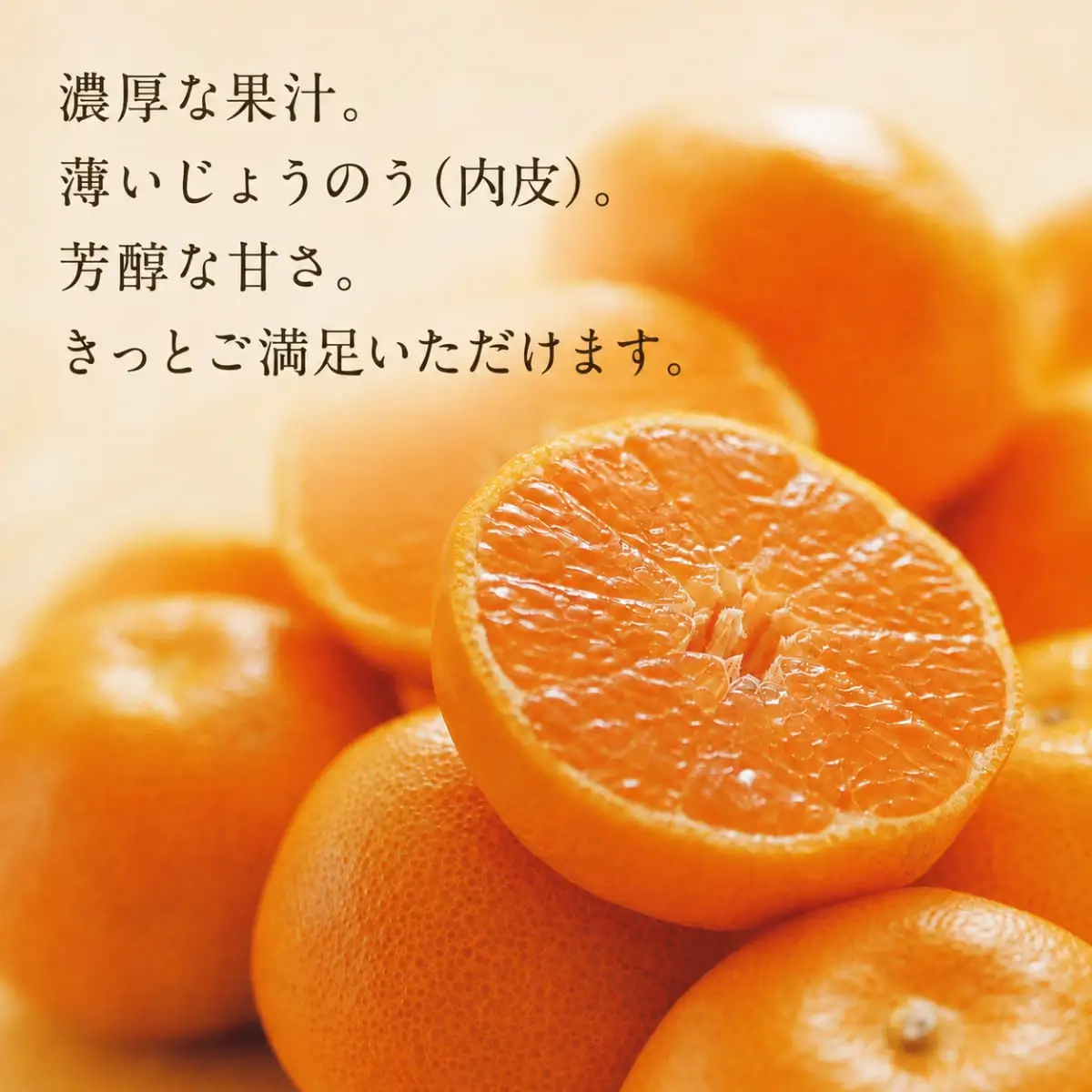 【先行受付】「日の丸みかん」と同産地!!聖ちゃんの「媛一みかん」2Lサイズ  約7.5kg【C39-14】【配送不可地域：離島】【1491362】 YWTF006