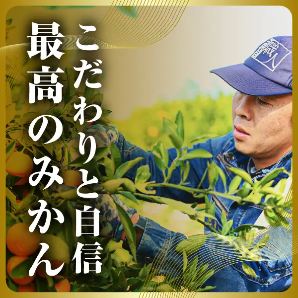 【先行受付】三代目の頂みかんTHEプレミアム【小玉サイズ】3kg【C31-32】【1424406】 YWTAC021