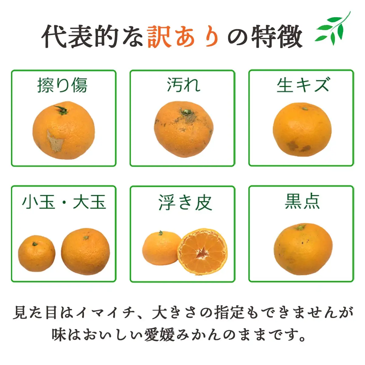 【発送月固定定期便】愛媛の人気品種!かんきつ定期便 11月～2月(訳あり)全4回【H25-155】【4012889】 YWTAP097