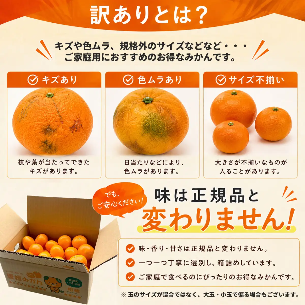 【先行受付】愛媛の人気2品種をセットに!せとか・不知火 食べ比べ 合計3kg【訳あり】【G25-141】【配送不可地域：離島】【1283421】 YWTAP084