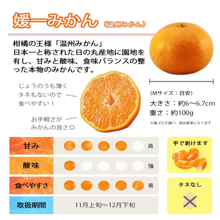 【先行受付】八幡浜市向灘地区産「媛一みかん」約5kg(家庭用)【C28-27】【配送不可地域：離島】【1051846】 YWTN019