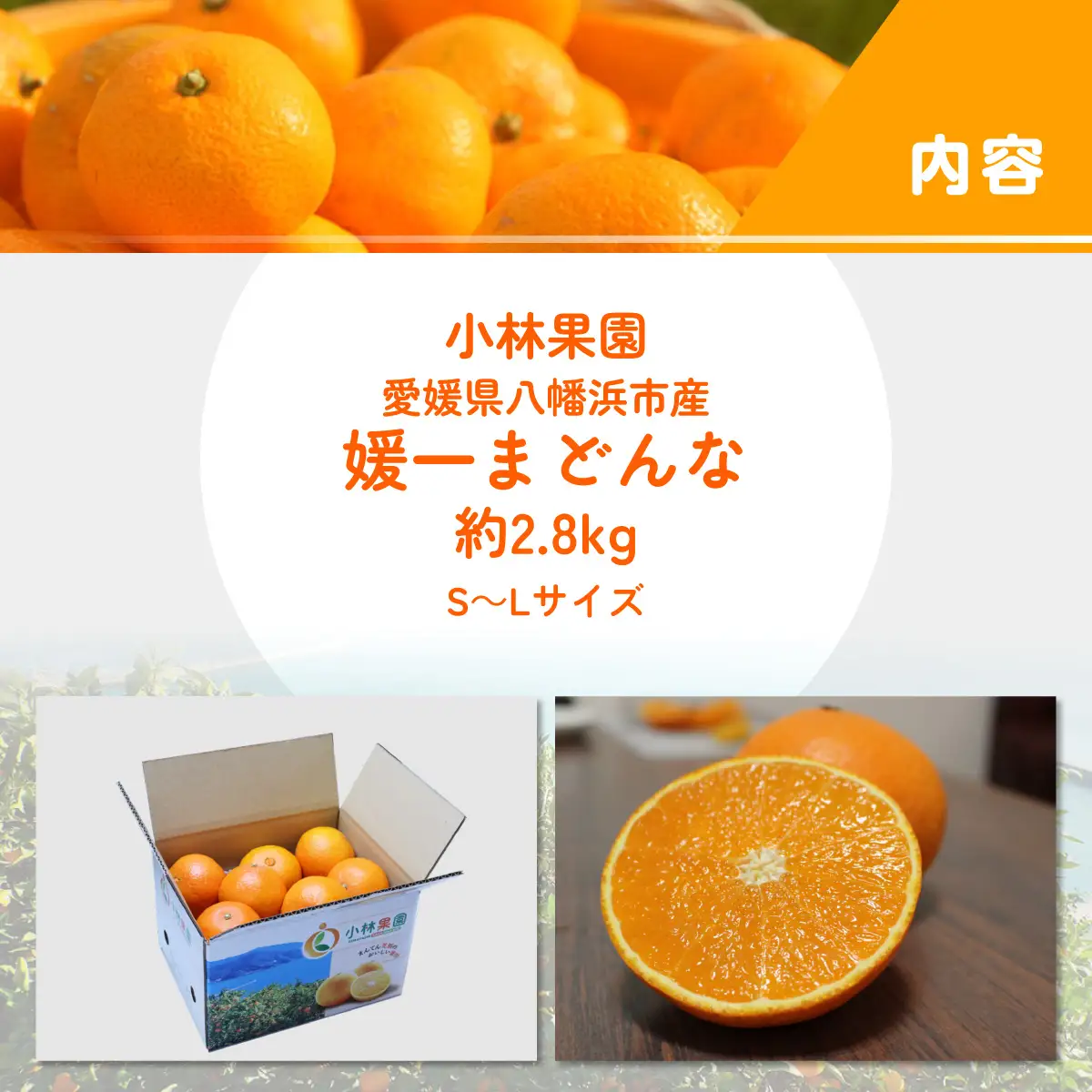 【先行受付】小林果園の媛一まどんな(約2.8kg)【C24-16】【1124422】 YWTAD009