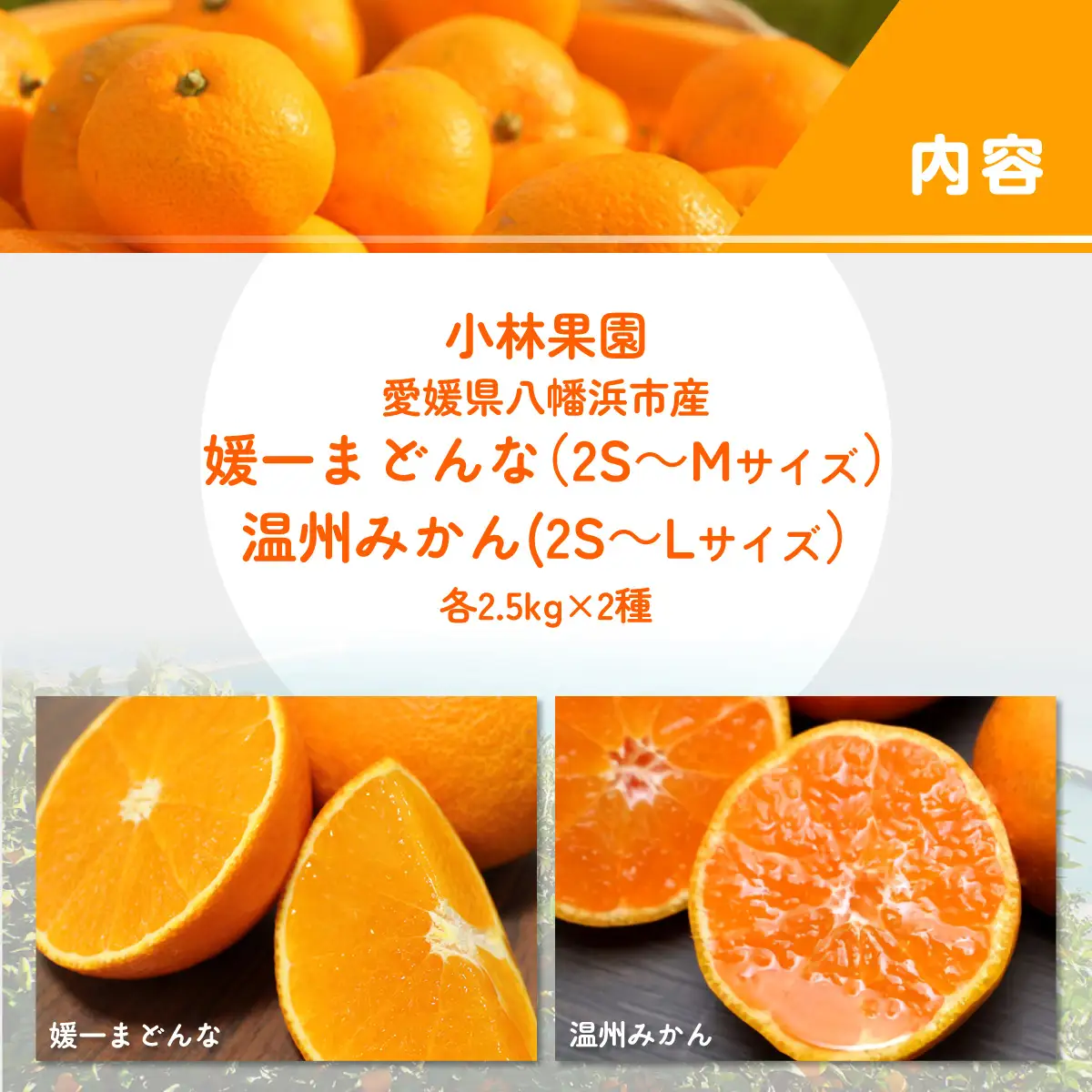 【先行受付】小林果園のみかん＆媛一まどんなセット(各約2.5kg入)【C24-17】【1124423】 YWTAD010