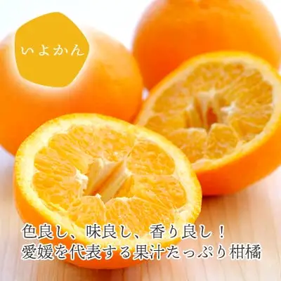 【先行受付】愛媛の柑橘詰め合わせ ポンカン2.5kg・いよかん2kg食べ比べセット【訳あり】【D25-96】【1356827】 YWTAP047