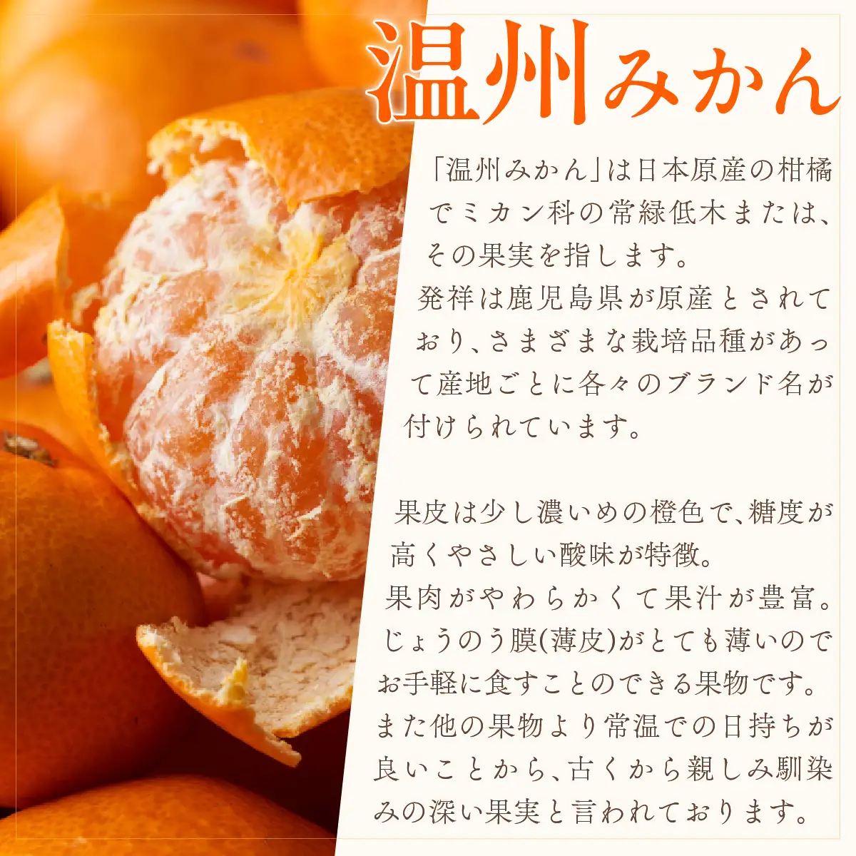 【先行受付】小林果園の果汁たっぷり愛媛温州みかん(約7.5kg・3L～Lサイズ)【C24-33】【1519492】 YWTAD024
