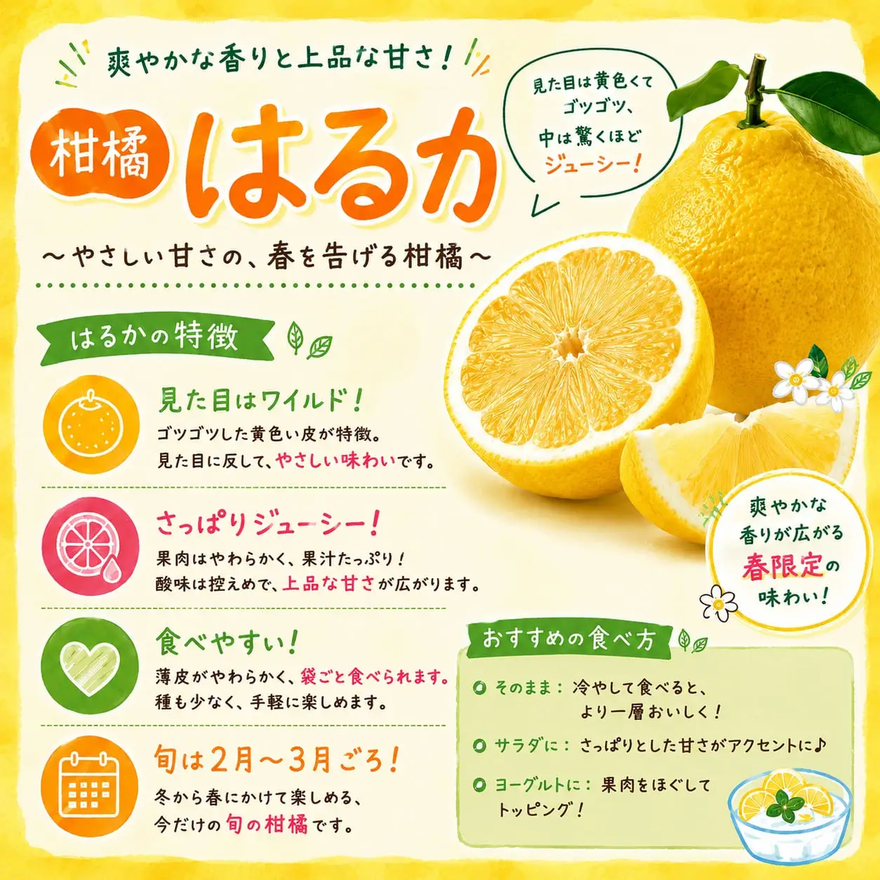 【先行受付】酸味を感じないジューシーな甘さ!「はるか」約5キロ　【C39-7】【配送不可地域：離島】【1280653】 YWTF002