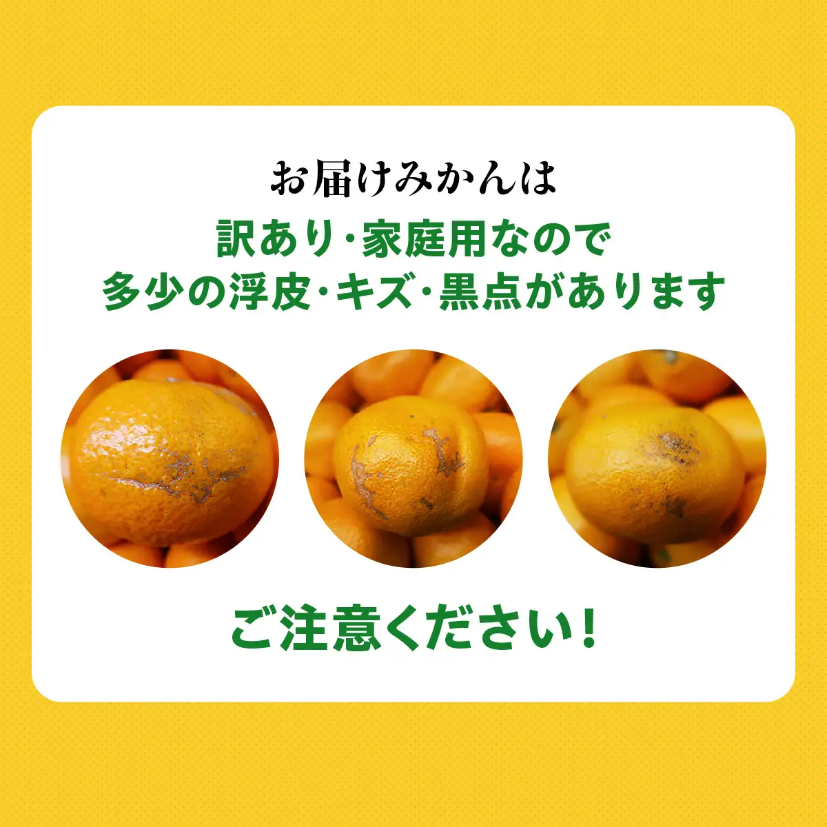 【先行受付】愛まどんな 家庭用1.5kg【C21-42】YWTBC023