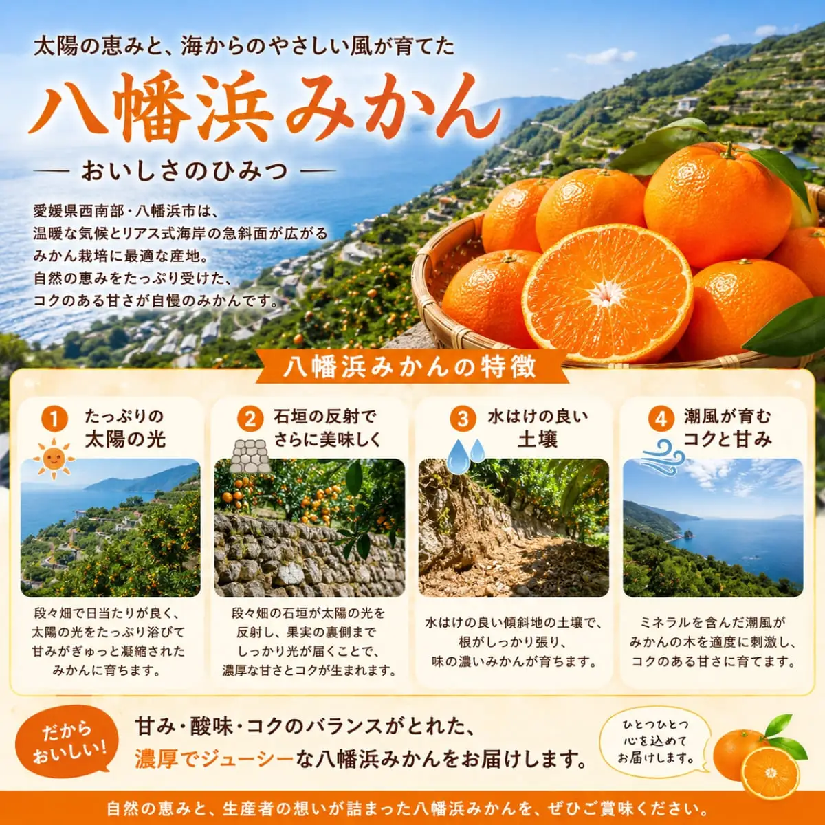 【先行受付】太陽の光・石垣の反射光・海面の反射光を浴びて育った「八幡浜みかん」約5キロ【C39-79】【配送不可地域：離島】【1636310】 YWTF054