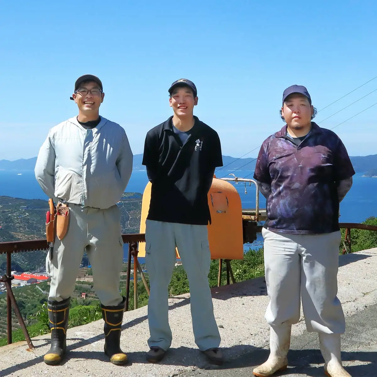 【先行受付】甘平 4kg 愛媛県 八幡浜市 西宇和地区 扁平で濃い味【E25-331】【1714520】 YWTAP272