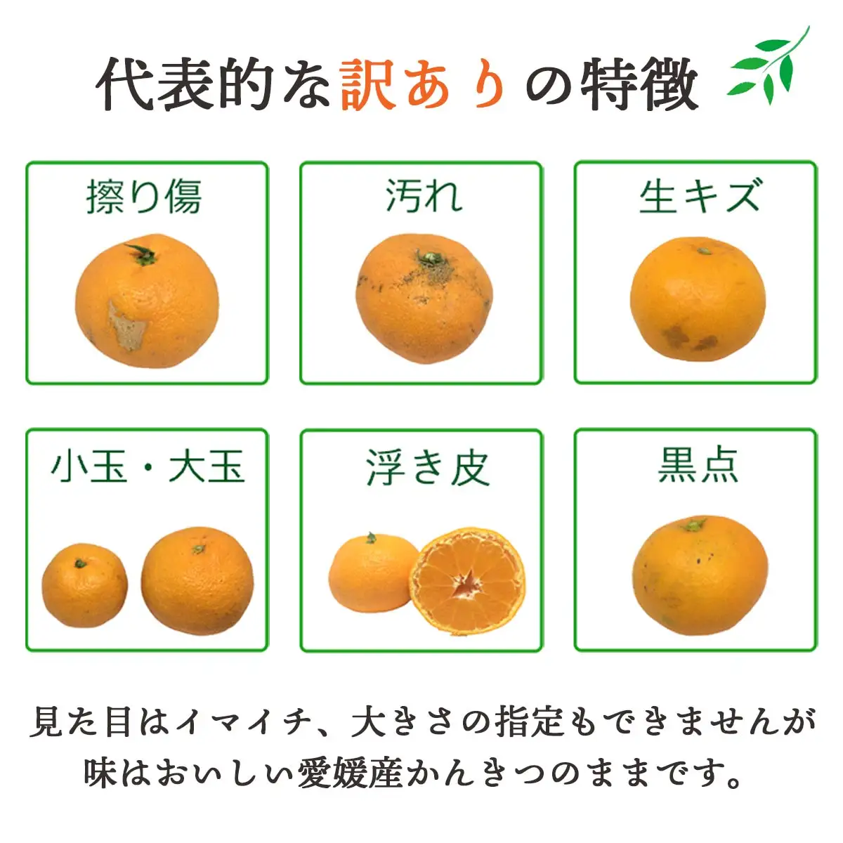 【先行受付】【訳あり】紅まどんな と同品種!愛果28号 7kg【H25-363】【1716687】 YWTAP304