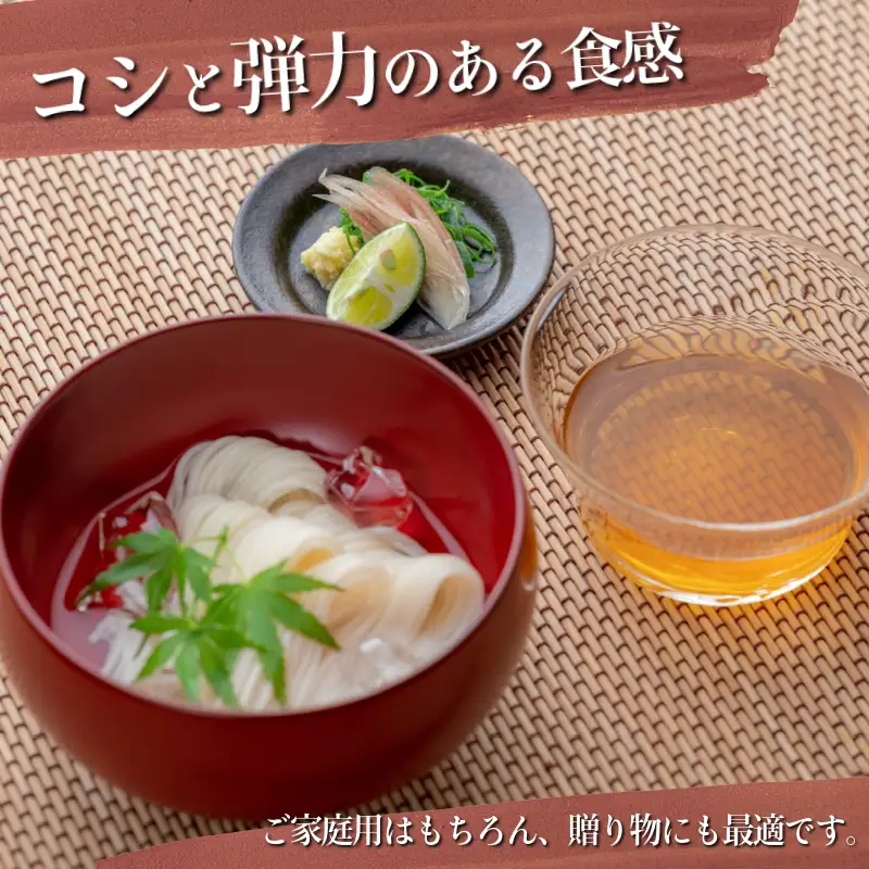 そうめん 半田そうめん 48束 そうめん 入魂