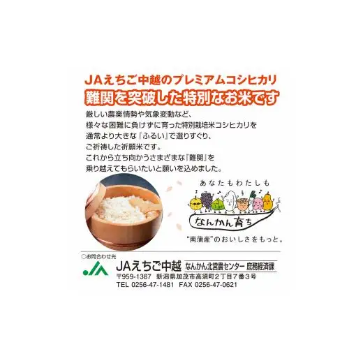 米 令和7年産新潟県産コシヒカリ 難関突破米 精米5kg なんかん米