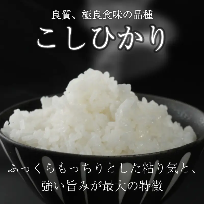 こしひかり 5kg 令和8年産 「コシヒカリ」10,000円