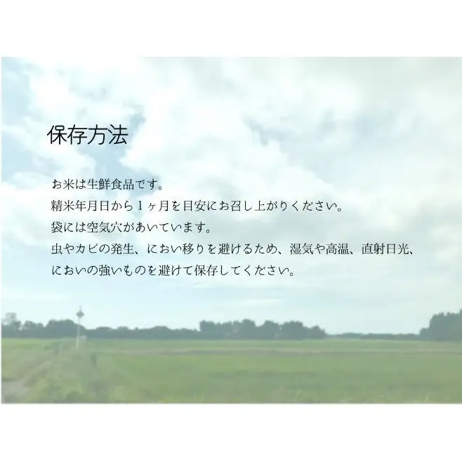 お米 千葉県産コシヒカリ5kg 米 コメ 精米 白米 甘い コシヒカリ こしひかり 九十九里町 千葉県