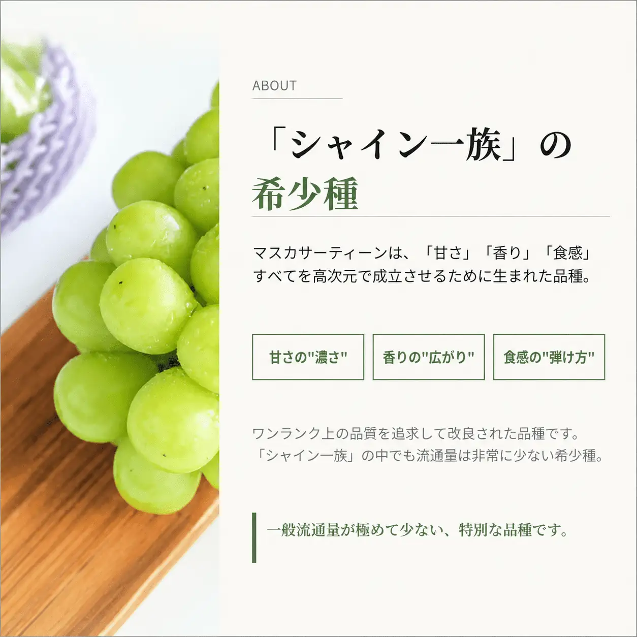 マスカサーティーン【シャインマスカット希少品種】 1.5㎏（3房または4房）【2026年先行予約】【ysdb005】
