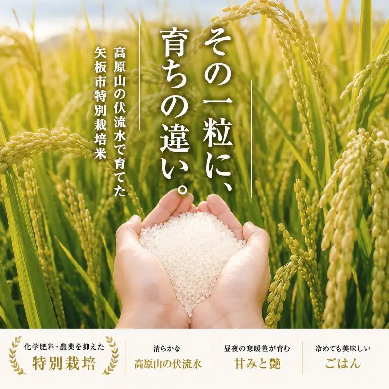 お米 矢板市特別栽培米「コシヒカリ」りんご育ちの こしひかり 3kg 