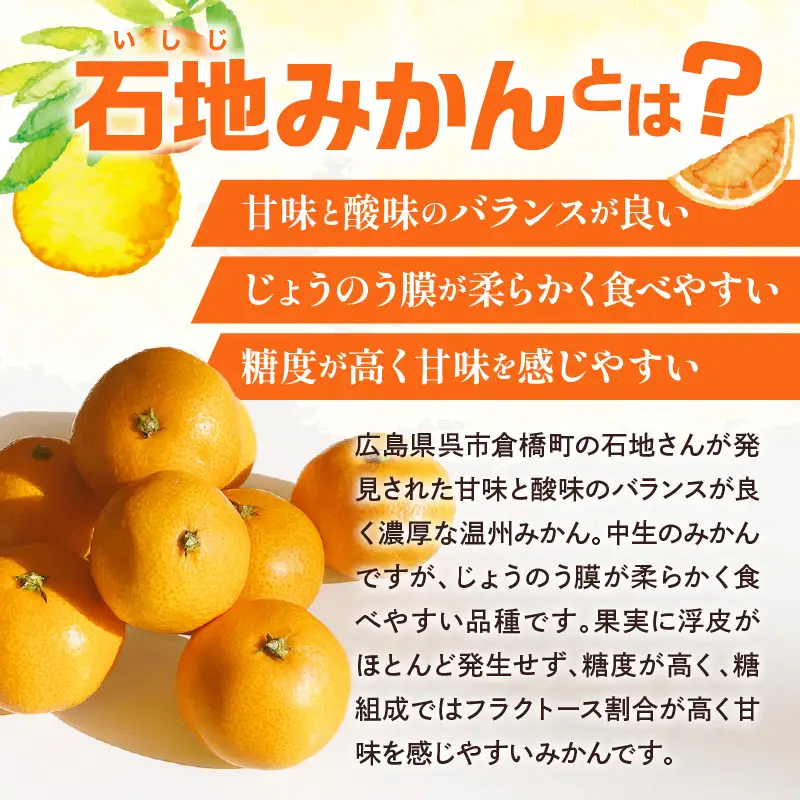 【先行受付】【2026年11月上旬～発送】滴る果汁・甘〜い石地みかん5kg 家庭用　ku212-001-26
