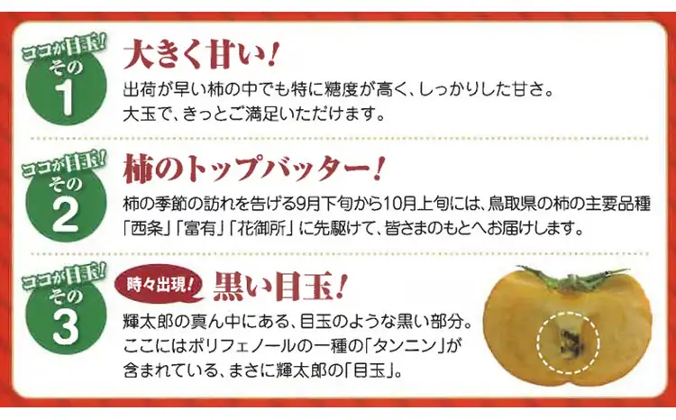【ご家庭用】輝太郎柿（きたろうかき）6kg【10月上旬頃から順次発送】