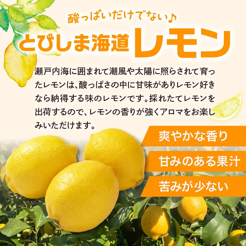 【先行受付】【2027年1月上旬～発送】加工品用レモン 6kg　ku212-004-26