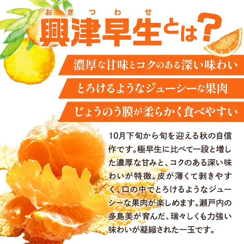 【先行受付】【2026年11月上旬～発送】甘さと酸味が丁度いい！濃厚興津早生みかん5kg 家庭用(2S〜2L：約55個）　ku212-006-26