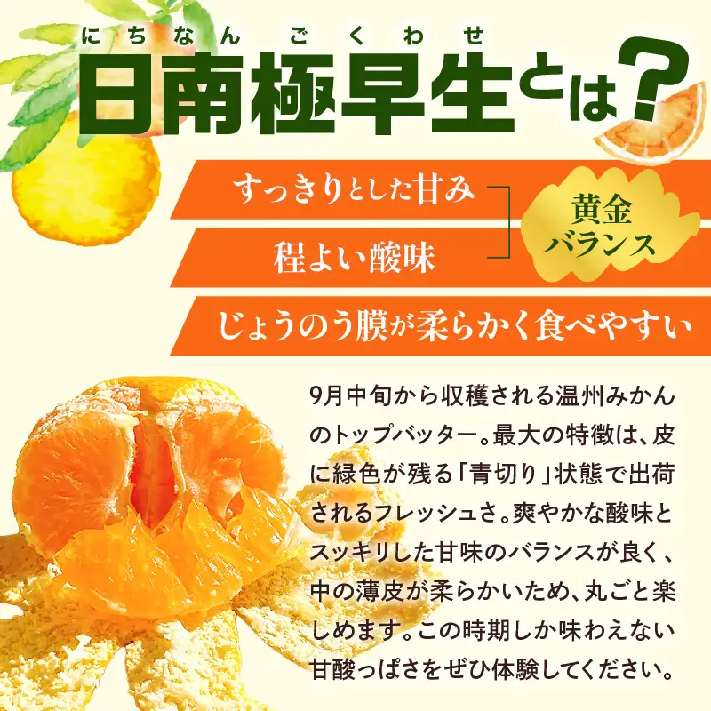 【先行受付】【2026年10月上旬～発送】さっぱり日南極早生みかん 秀品 5kg(M～L 約40個) ku212-007-26