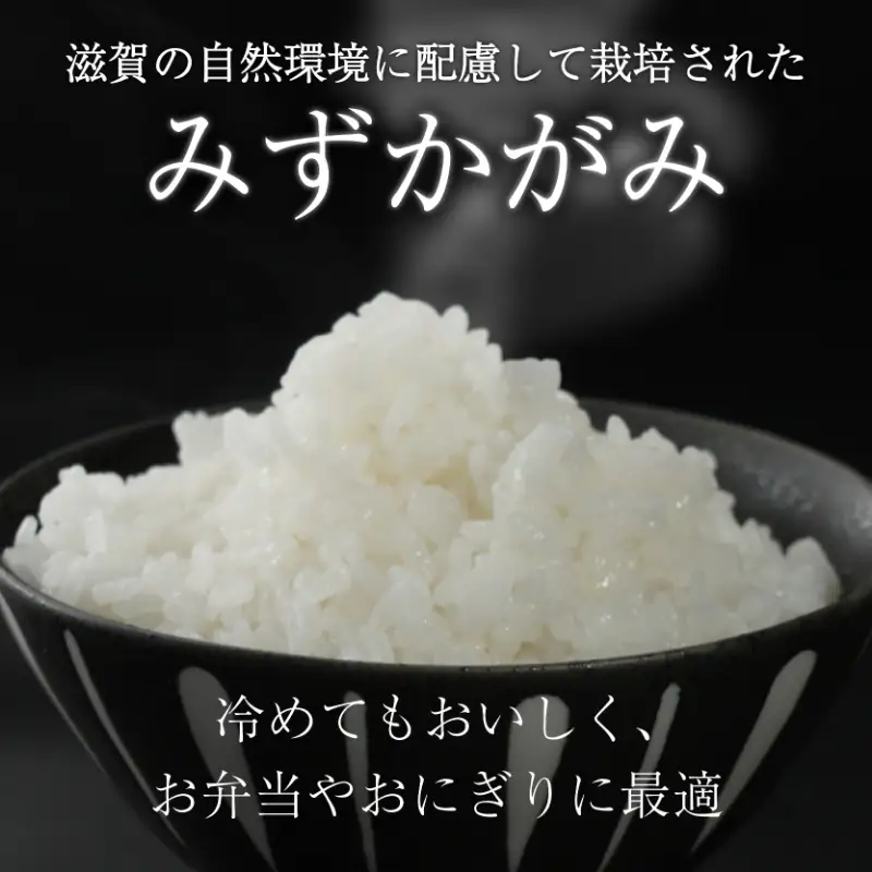 【先行予約】 みずかがみ 新米 新米 5kg 令和8年度産