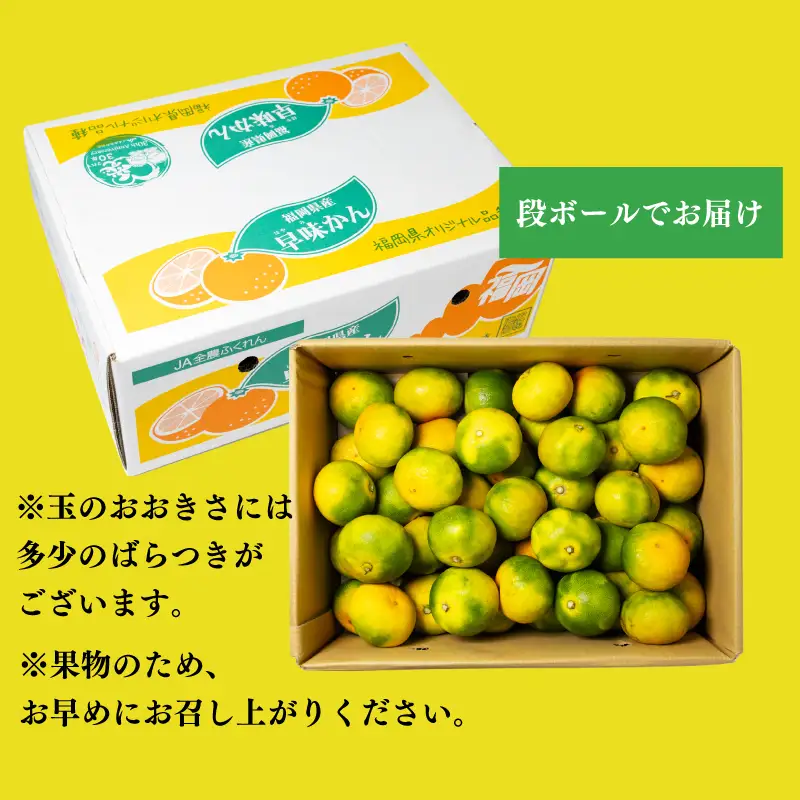 福岡県産 早味かん M・Sサイズ 約4kg以上(40玉-50玉入り)｜みかん 早味かん KBY