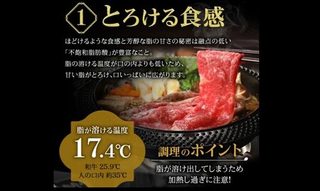 松阪牛 サーロインステーキ 200g  牛肉 ステーキ【2-63】