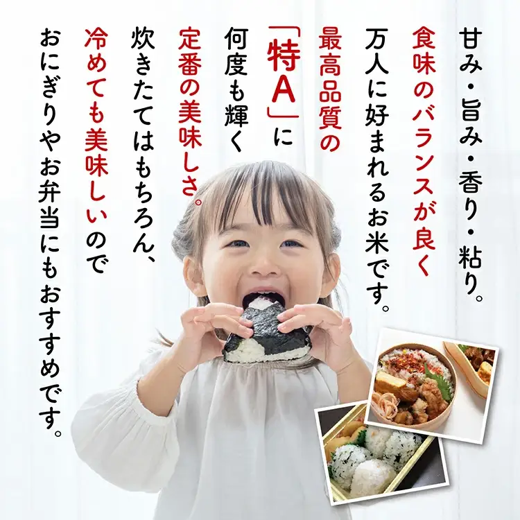 【定期便3回】潟上市産あきたこまち（精米）5kg × 3ヶ月【鐙惣米穀店】