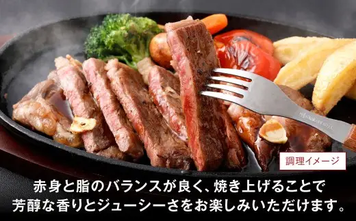 黒毛和牛サーロインステーキ 約500g（250g×2枚） お肉 肉 牛肉 黒毛和牛 にく ニク ステーキ サーロイン 冷凍 福岡県 北九州市